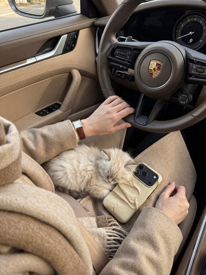 Beige and brown patterned phone case resting on a lap with a sleeping fluffy cat, styled with cozy neutral-toned clothing inside a luxury car interior.